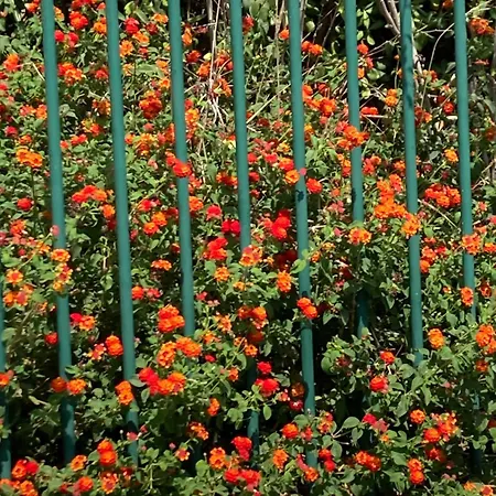 Cap Esterel Agay Raphael Vue Coeur Du Site Piscine Golf 4 Personnes Chez Magali *