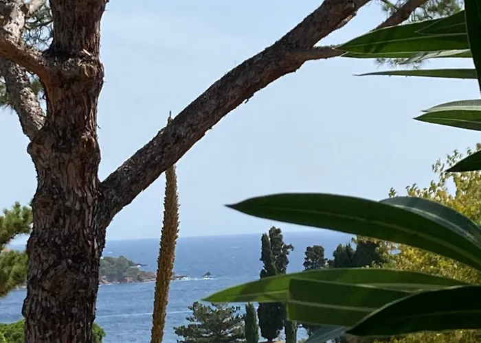 公寓 Cap Esterel Agay Raphael Vue Coeur Du Site Piscine Golf 4 Personnes Chez Magali Saint-Raphaël