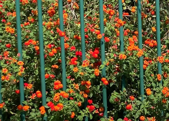 Cap Esterel Agay Raphael Vue Coeur Du Site Piscine Golf 4 Personnes Chez Magali *